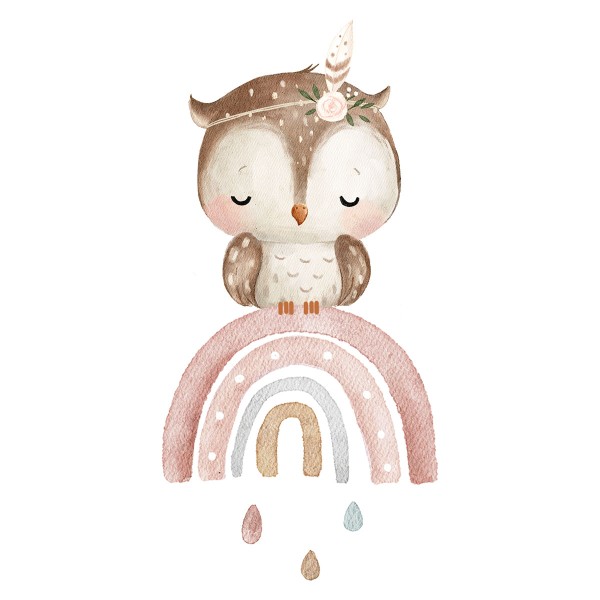 Bügelbild Sweet Owl on a Rainbow Maxi