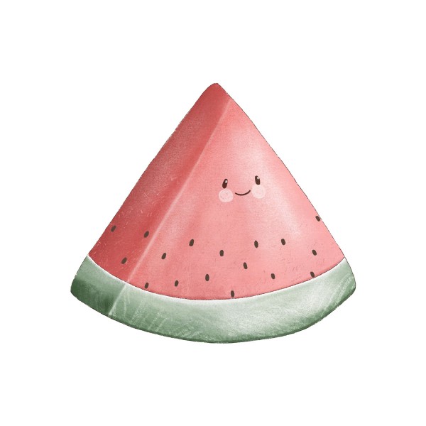 Bügelbild Happy Watermelons Medium